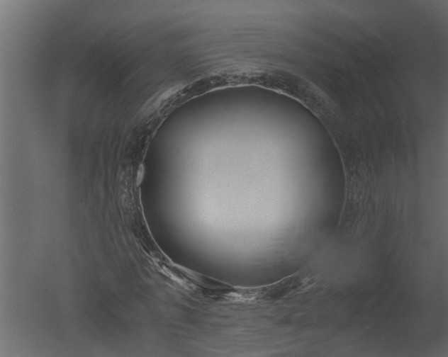 X0000050710773200506151847
