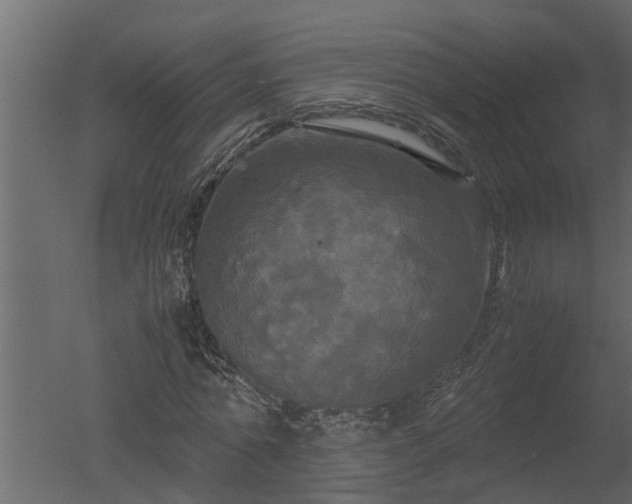 X0000050710774200506151847