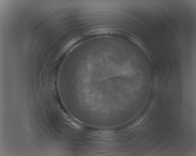 X0000050710778200506151846