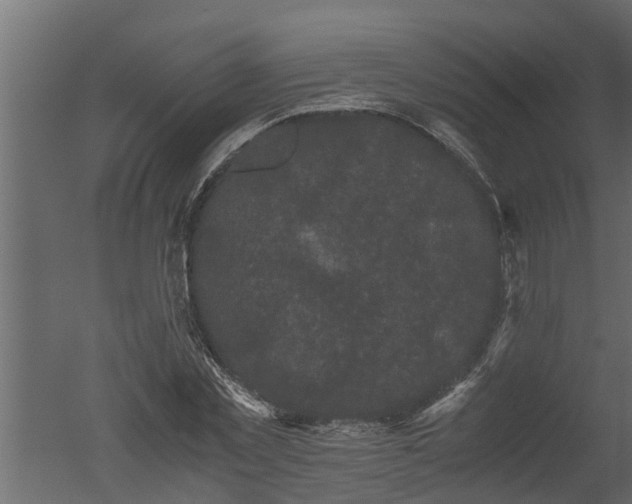 X0000050710781200506151846