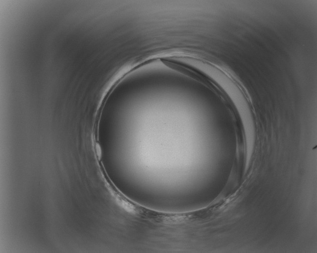 X0000050710813200506151846