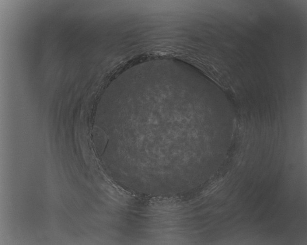 X0000050710817200506151845