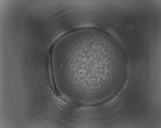X0000050710825200506151845