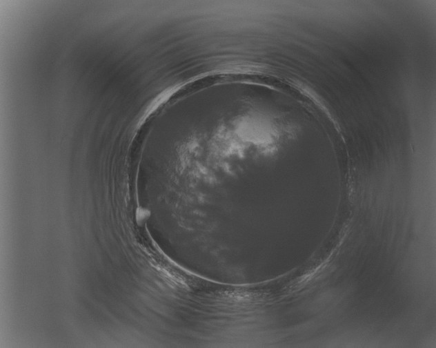X0000050710829200506151845