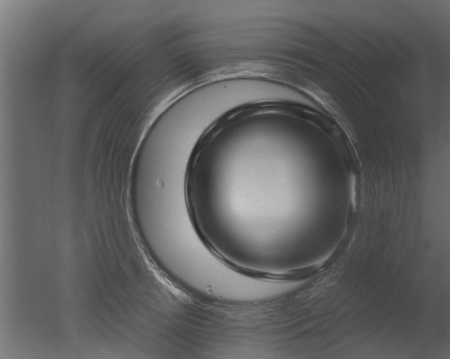 X0000050710850200506151846