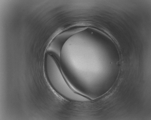 X0000050710853200506151846