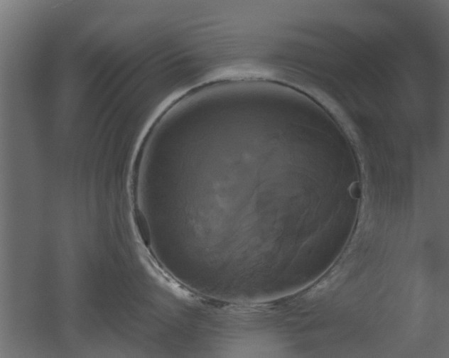 X0000050710864200506151846