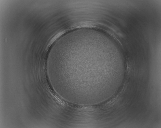 X0000050710874200506151845