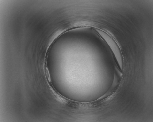 X0000050710901200506151844