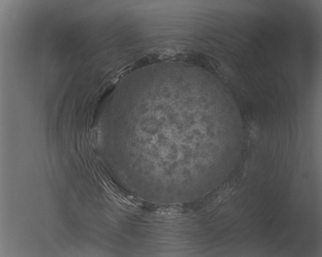 X0000050710914200506151843
