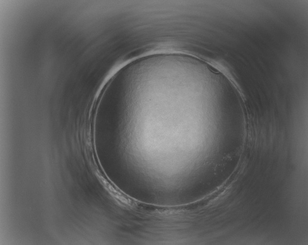 X0000050711004200506151843