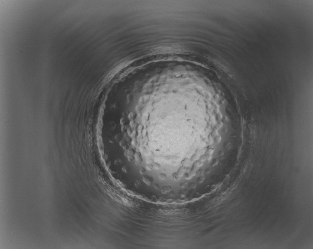 X0000050711025200506151842