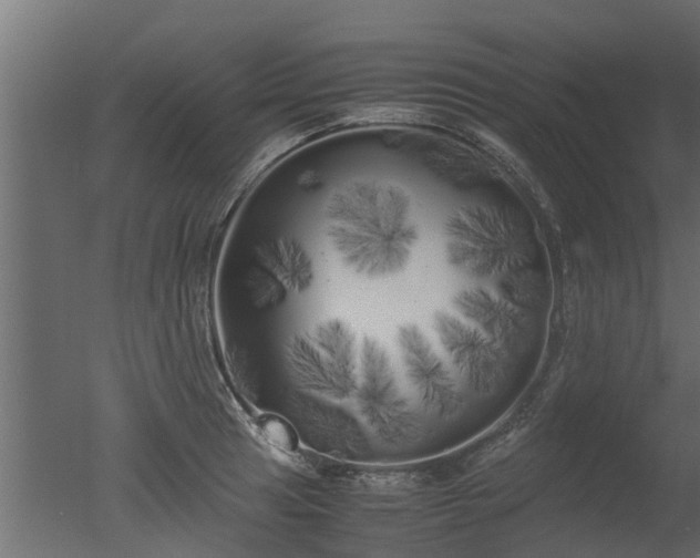 X0000050711041200506151842