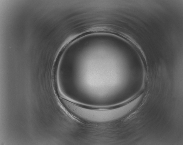 X0000050711045200506151842