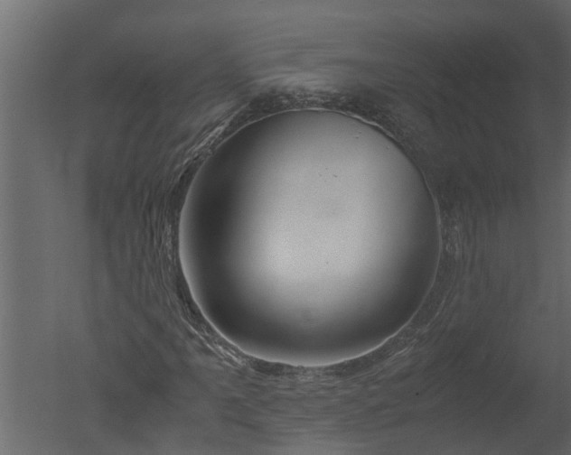 X0000050711061200506151842