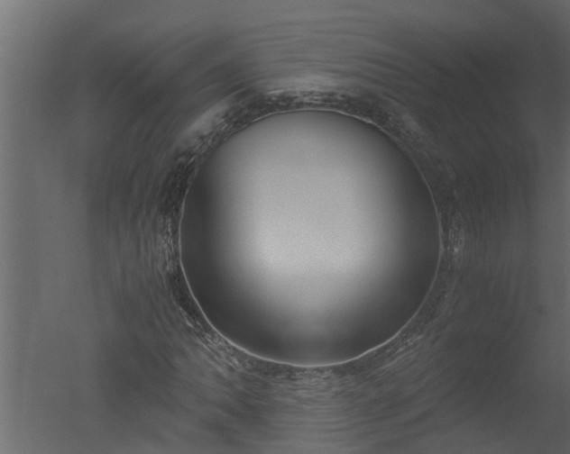 X0000050711062200506151842