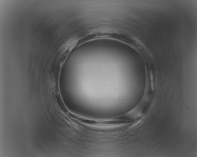 X0000050711065200506151842