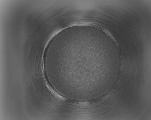 X0000050711080200506151841