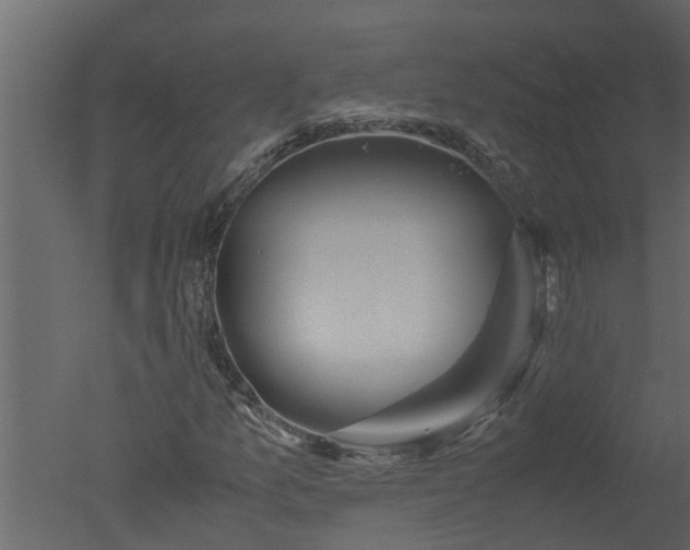X0000050711157200506151840
