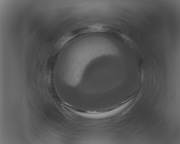X0000050711161200506151840