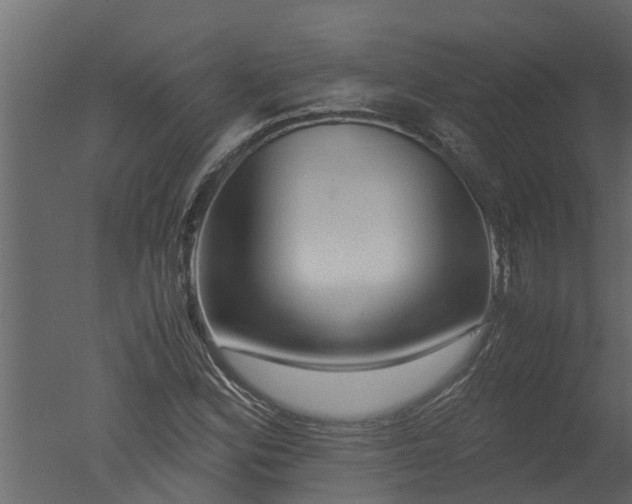 X0000050711164200506151840