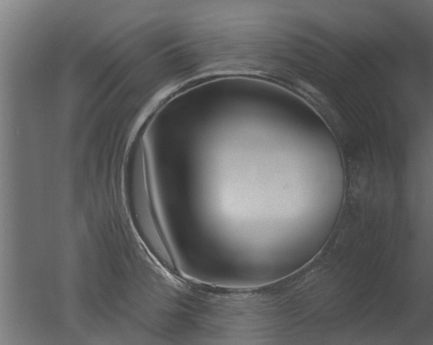 X0000050711188200506151840