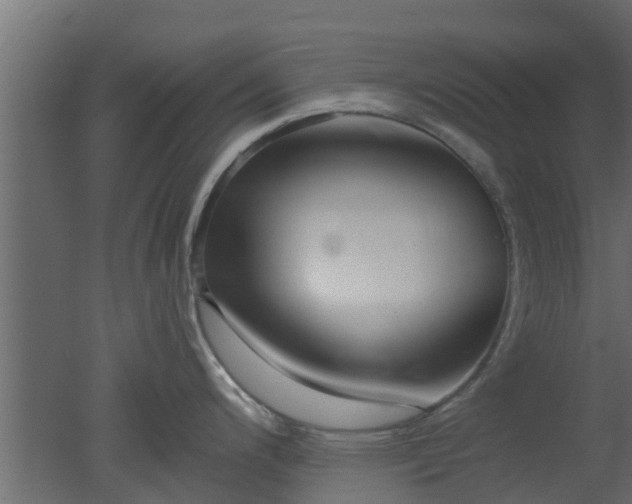 X0000050711200200506151839