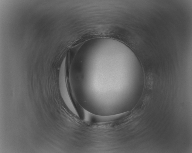 X0000050711202200506151839