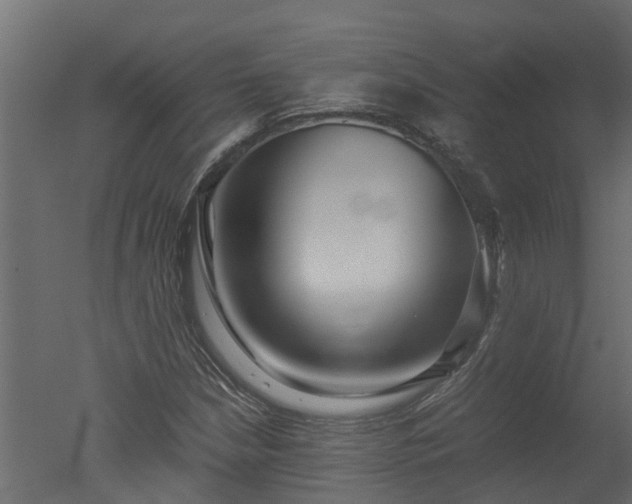 X0000050711210200506151839