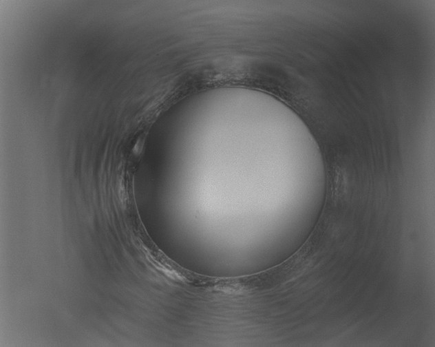 X0000050711250200506151838
