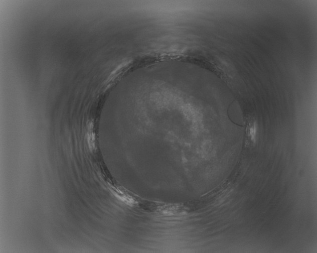 X0000050711252200506151838