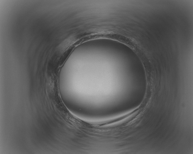 X0000050711257200506151838