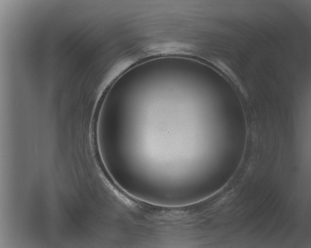 X0000050711285200506151838