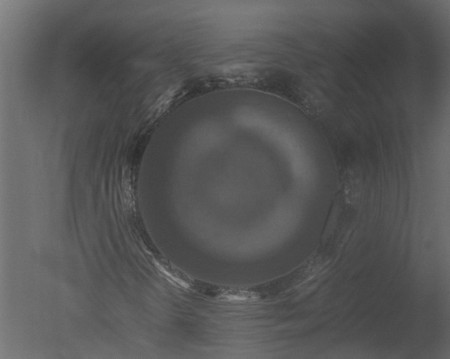 X0000050711298200506151837