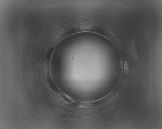 X0000050711299200506151837