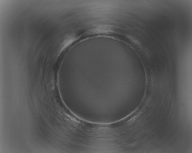 X0000050711306200506151837