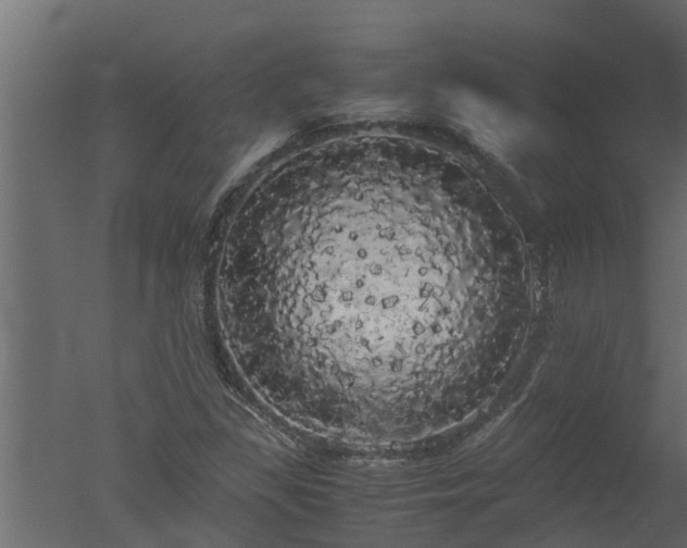 X0000050711309200506151837
