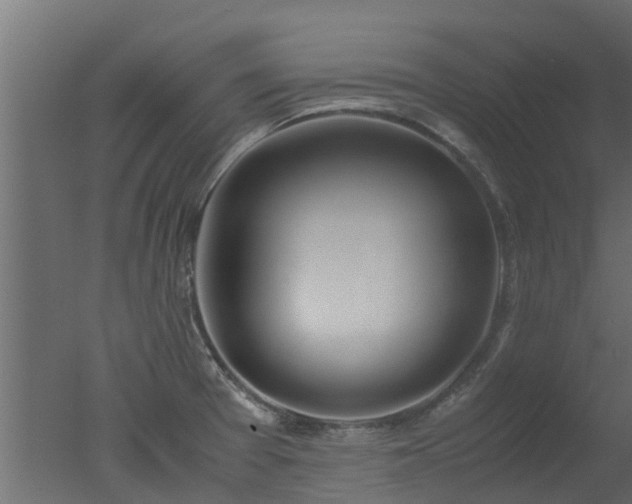 X0000050711377200506151836