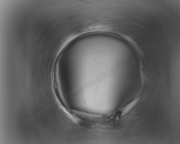 X0000050711383200506151836
