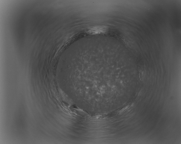 X0000050711393200506151835