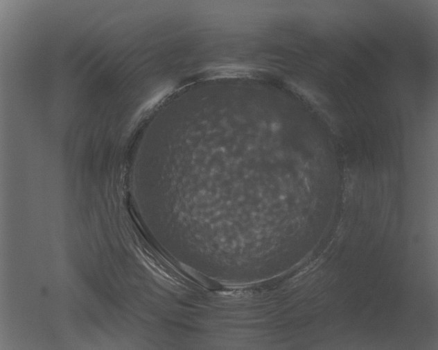 X0000050711403200506151835