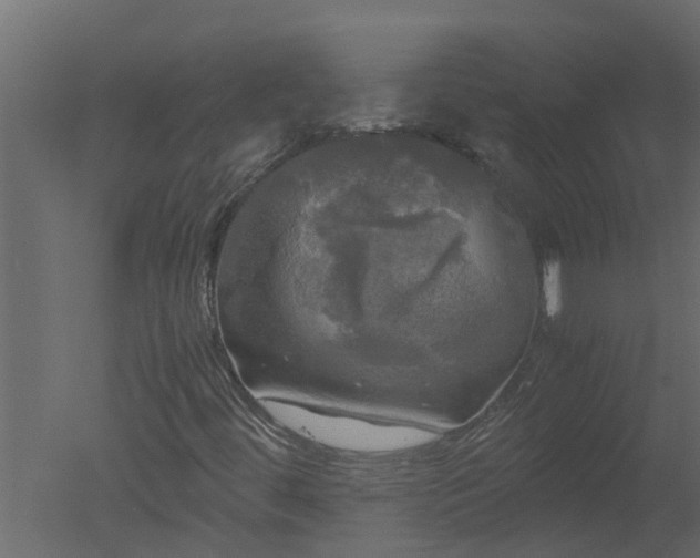 X0000050711444200506151835
