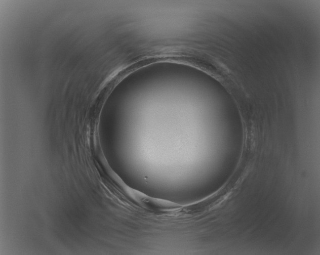 X0000050711449200506151835