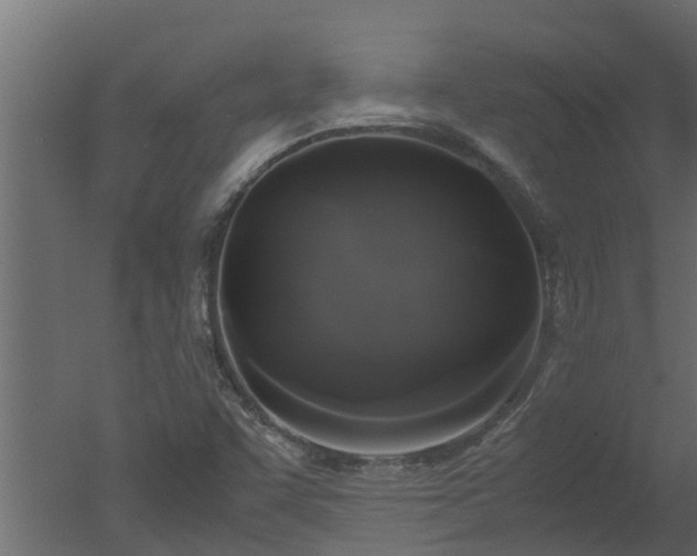 X0000050711455200506151835