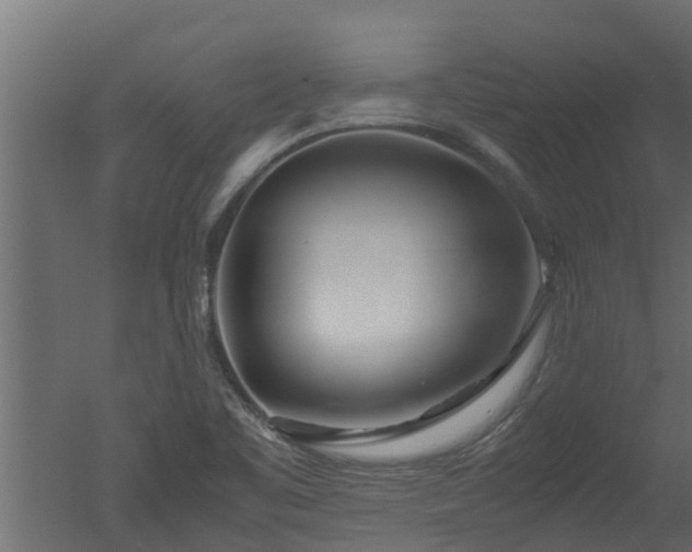 X0000050711461200506151835
