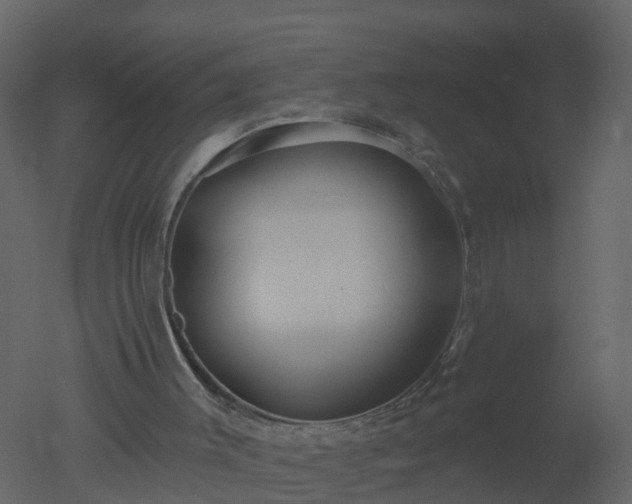 X0000050720003200506151926