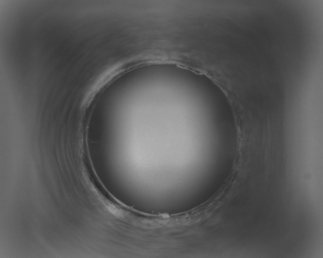X0000050720005200506151926