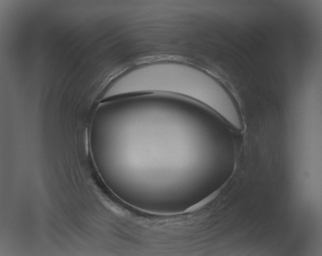 X0000050720013200506151926