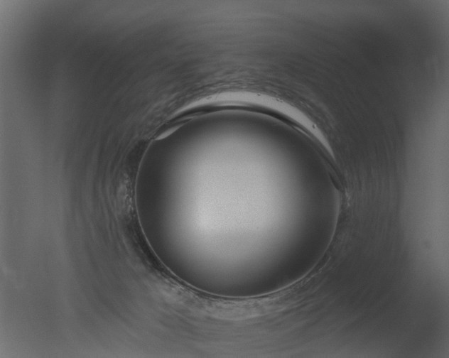 X0000050720029200506151925