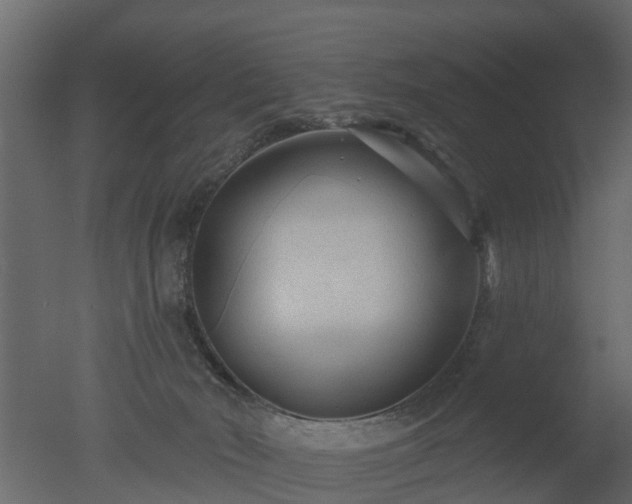 X0000050720030200506151925